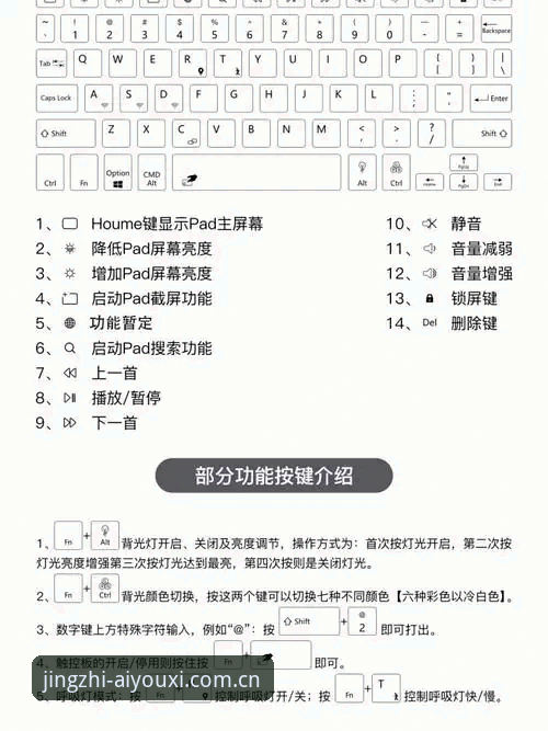 爱游戏革新手则实用指南：从下载到掌控电竞赛事的一站式操作